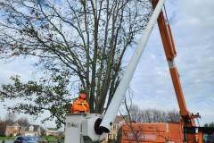 A.C.-Tree-Service-LLC-91-Manor-Dr-Hagerstown-MD-21740-1-301-302-6467-100