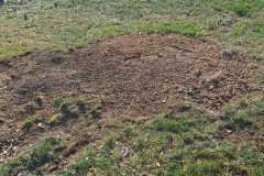 A.C.-Tree-Service-LLC-91-Manor-Dr-Hagerstown-MD-21740-1-301-302-6467-110