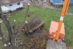 A.C.-Tree-Service-LLC-91-Manor-Dr-Hagerstown-MD-21740-1-301-302-6467-111