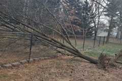 A.C.-Tree-Service-LLC-91-Manor-Dr-Hagerstown-MD-21740-1-301-302-6467-119