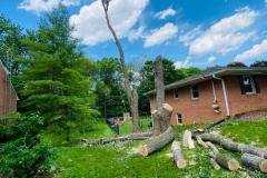 A.C.-Tree-Service-LLC-91-Manor-Dr-Hagerstown-MD-21740-1-301-302-6467-12