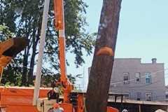 A.C.-Tree-Service-LLC-91-Manor-Dr-Hagerstown-MD-21740-1-301-302-6467-122