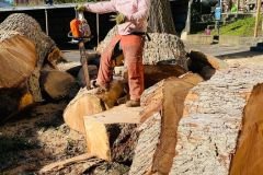 A.C.-Tree-Service-LLC-91-Manor-Dr-Hagerstown-MD-21740-1-301-302-6467-123