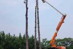 A.C.-Tree-Service-LLC-91-Manor-Dr-Hagerstown-MD-21740-1-301-302-6467-124
