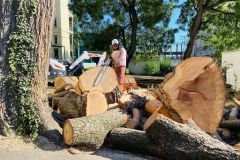 A.C.-Tree-Service-LLC-91-Manor-Dr-Hagerstown-MD-21740-1-301-302-6467-125