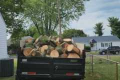 A.C.-Tree-Service-LLC-91-Manor-Dr-Hagerstown-MD-21740-1-301-302-6467-127