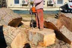 A.C.-Tree-Service-LLC-91-Manor-Dr-Hagerstown-MD-21740-1-301-302-6467-128