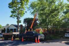 A.C.-Tree-Service-LLC-91-Manor-Dr-Hagerstown-MD-21740-1-301-302-6467-129