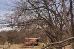 A.C.-Tree-Service-LLC-91-Manor-Dr-Hagerstown-MD-21740-1-301-302-6467-131