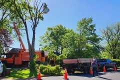 A.C.-Tree-Service-LLC-91-Manor-Dr-Hagerstown-MD-21740-1-301-302-6467-132