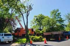 A.C.-Tree-Service-LLC-91-Manor-Dr-Hagerstown-MD-21740-1-301-302-6467-133