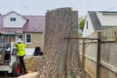 A.C.-Tree-Service-LLC-91-Manor-Dr-Hagerstown-MD-21740-1-301-302-6467-134