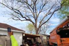 A.C.-Tree-Service-LLC-91-Manor-Dr-Hagerstown-MD-21740-1-301-302-6467-137