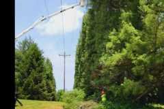A.C.-Tree-Service-LLC-91-Manor-Dr-Hagerstown-MD-21740-1-301-302-6467-138