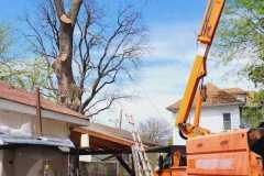 A.C.-Tree-Service-LLC-91-Manor-Dr-Hagerstown-MD-21740-1-301-302-6467-139