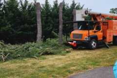 A.C.-Tree-Service-LLC-91-Manor-Dr-Hagerstown-MD-21740-1-301-302-6467-142