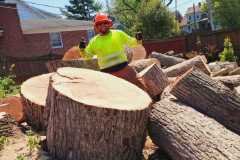 A.C.-Tree-Service-LLC-91-Manor-Dr-Hagerstown-MD-21740-1-301-302-6467-144