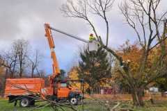 A.C.-Tree-Service-LLC-91-Manor-Dr-Hagerstown-MD-21740-1-301-302-6467-145