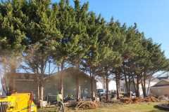 A.C.-Tree-Service-LLC-91-Manor-Dr-Hagerstown-MD-21740-1-301-302-6467-146