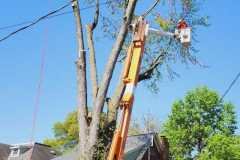 A.C.-Tree-Service-LLC-91-Manor-Dr-Hagerstown-MD-21740-1-301-302-6467-147