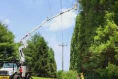 A.C.-Tree-Service-LLC-91-Manor-Dr-Hagerstown-MD-21740-1-301-302-6467-148