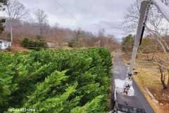 A.C.-Tree-Service-LLC-91-Manor-Dr-Hagerstown-MD-21740-1-301-302-6467-149