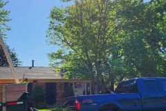 A.C.-Tree-Service-LLC-91-Manor-Dr-Hagerstown-MD-21740-1-301-302-6467-150