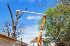 A.C.-Tree-Service-LLC-91-Manor-Dr-Hagerstown-MD-21740-1-301-302-6467-154