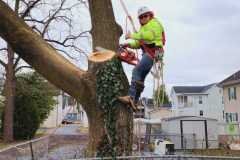 A.C.-Tree-Service-LLC-91-Manor-Dr-Hagerstown-MD-21740-1-301-302-6467-156