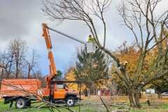 A.C.-Tree-Service-LLC-91-Manor-Dr-Hagerstown-MD-21740-1-301-302-6467-157