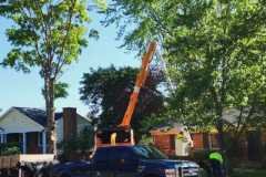 A.C.-Tree-Service-LLC-91-Manor-Dr-Hagerstown-MD-21740-1-301-302-6467-159