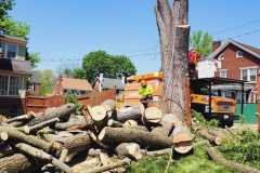 A.C.-Tree-Service-LLC-91-Manor-Dr-Hagerstown-MD-21740-1-301-302-6467-160