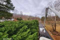 A.C.-Tree-Service-LLC-91-Manor-Dr-Hagerstown-MD-21740-1-301-302-6467-161