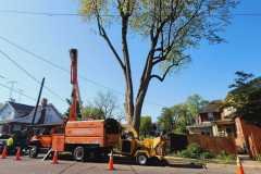 A.C.-Tree-Service-LLC-91-Manor-Dr-Hagerstown-MD-21740-1-301-302-6467-166