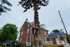 A.C.-Tree-Service-LLC-91-Manor-Dr-Hagerstown-MD-21740-1-301-302-6467-17