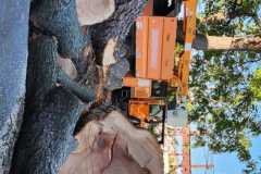 A.C.-Tree-Service-LLC-91-Manor-Dr-Hagerstown-MD-21740-1-301-302-6467-171