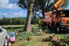 A.C.-Tree-Service-LLC-91-Manor-Dr-Hagerstown-MD-21740-1-301-302-6467-178