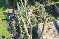 A.C.-Tree-Service-LLC-91-Manor-Dr-Hagerstown-MD-21740-1-301-302-6467-179