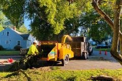 A.C.-Tree-Service-LLC-91-Manor-Dr-Hagerstown-MD-21740-1-301-302-6467-18