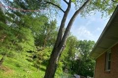 A.C.-Tree-Service-LLC-91-Manor-Dr-Hagerstown-MD-21740-1-301-302-6467-18