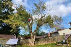 A.C.-Tree-Service-LLC-91-Manor-Dr-Hagerstown-MD-21740-1-301-302-6467-180