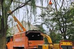 A.C.-Tree-Service-LLC-91-Manor-Dr-Hagerstown-MD-21740-1-301-302-6467-181