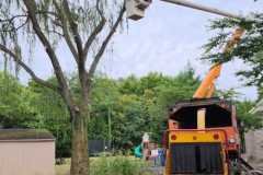 A.C.-Tree-Service-LLC-91-Manor-Dr-Hagerstown-MD-21740-1-301-302-6467-185