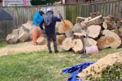A.C.-Tree-Service-LLC-91-Manor-Dr-Hagerstown-MD-21740-1-301-302-6467-186