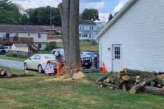 A.C.-Tree-Service-LLC-91-Manor-Dr-Hagerstown-MD-21740-1-301-302-6467-187