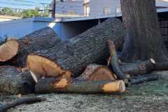 A.C.-Tree-Service-LLC-91-Manor-Dr-Hagerstown-MD-21740-1-301-302-6467-188