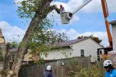 A.C.-Tree-Service-LLC-91-Manor-Dr-Hagerstown-MD-21740-1-301-302-6467-189