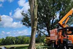 A.C.-Tree-Service-LLC-91-Manor-Dr-Hagerstown-MD-21740-1-301-302-6467-190