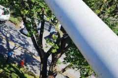 A.C.-Tree-Service-LLC-91-Manor-Dr-Hagerstown-MD-21740-1-301-302-6467-192