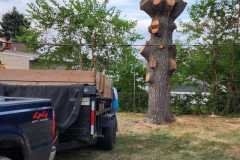A.C.-Tree-Service-LLC-91-Manor-Dr-Hagerstown-MD-21740-1-301-302-6467-193